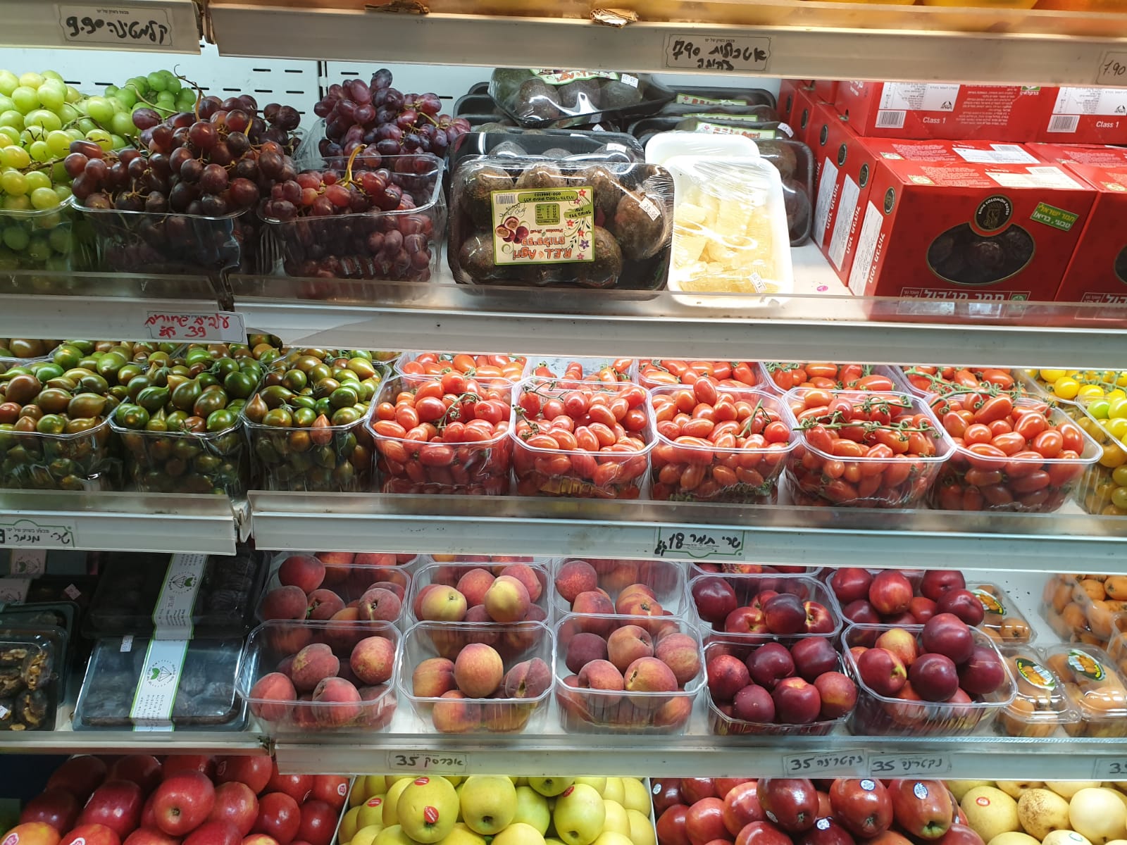 WhatsApp Image 2021-04-15 at 1.57.13 PM.jpeg